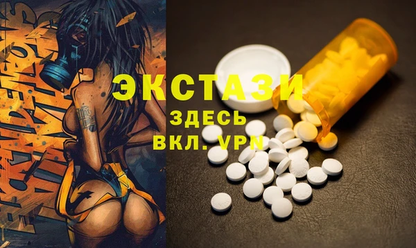дживик Бородино