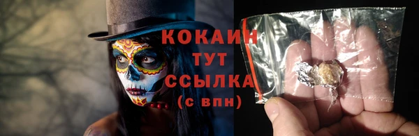 дмт Верея
