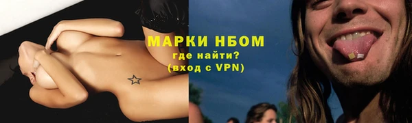 дживик Бородино
