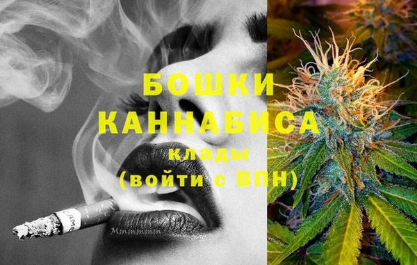стаф Бугульма