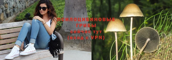дмт Верея