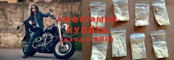 дживик Бородино