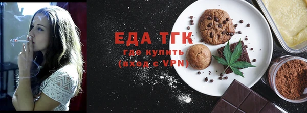 дживик Бородино