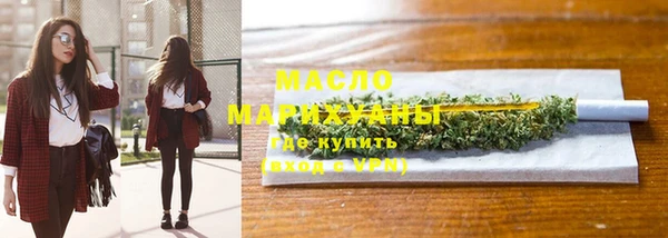 дживик Бородино