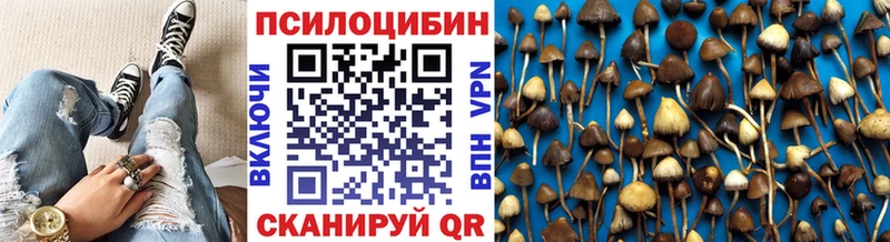 Псилоцибиновые грибы Psilocybe  hydra вход  Мегион 