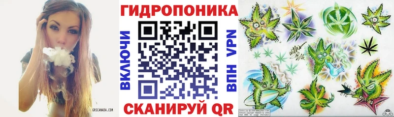Бошки марихуана White Widow  где можно купить   Мегион 